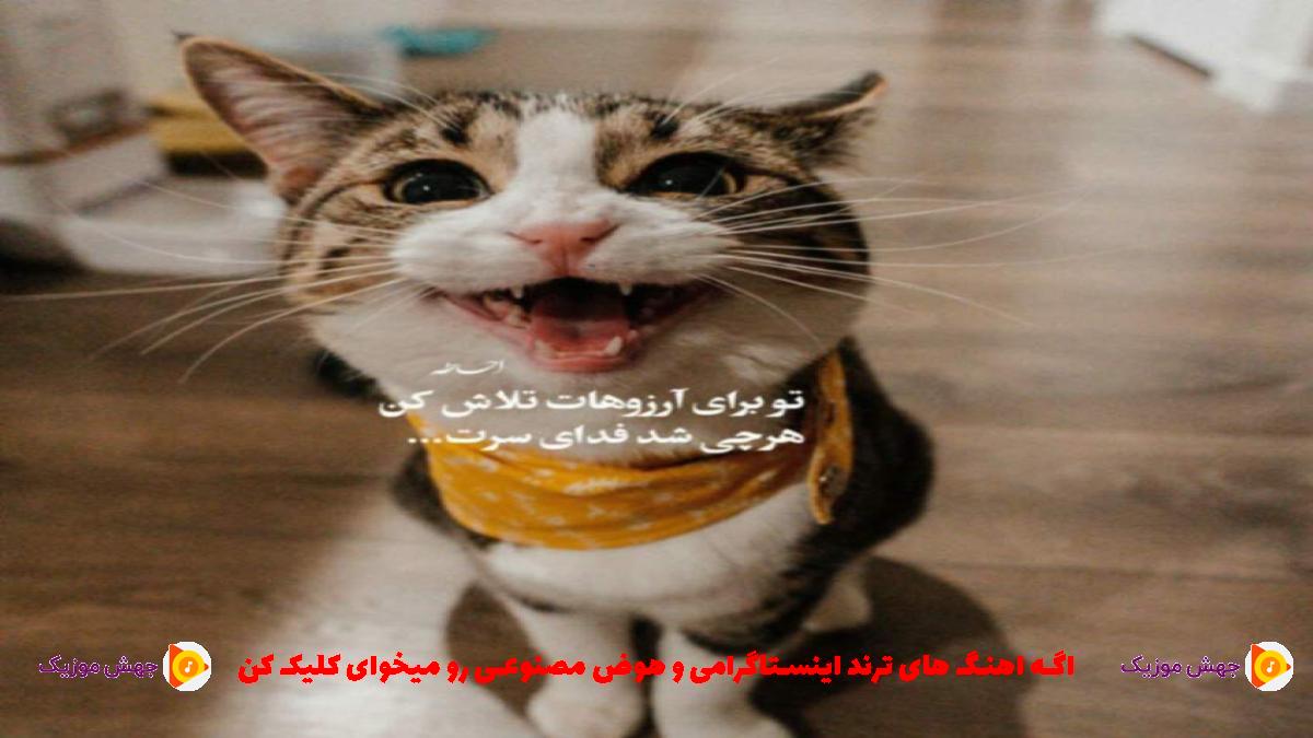 دانلود آهنگ دلم خونه پر درده اگه میشه یکی بهش بگه برگرده از محسن لرستانی و هایده 